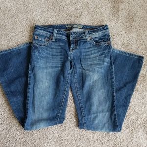 Size 4 AE Artist American Eagle Jeans